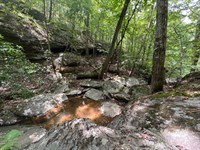 Vinson Mountain Tract : Rockmart : Polk County : Georgia