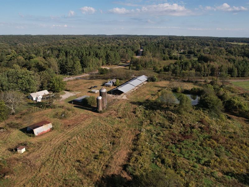 Langtown 45 : Moulton : Lawrence County : Alabama