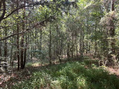 17.99 Ac Minifarm in Tallapoosa, GA : Tallapoosa : Haralson County : Georgia