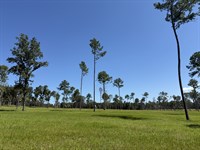 Dungarven Ridge Lot 5 : Micanopy : Marion County : Florida
