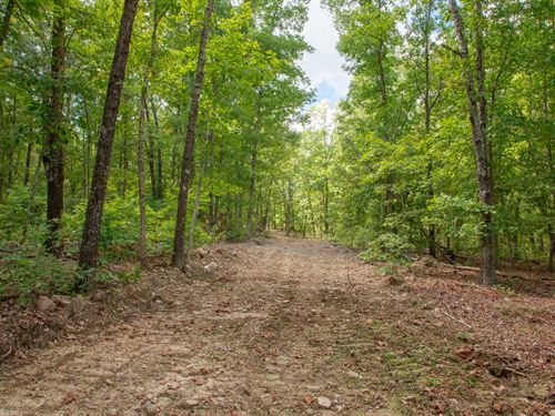 $999 Down Land : Lenox : Dent County : Missouri