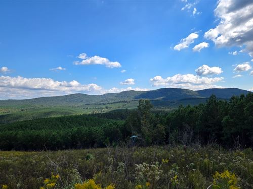 Forney Tract : Centre : Cherokee County : Alabama