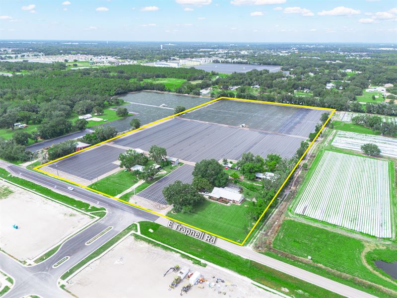 Trapnell Residential Development : Plant City : Hillsborough County : Florida