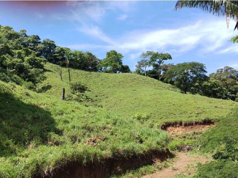 Farm with Spring and Views Nicoya : Niciya : Costa Rica