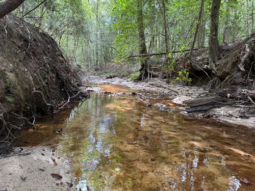 40 Ac Coffee Co, Jump Creek East : Jack : Coffee County : Alabama