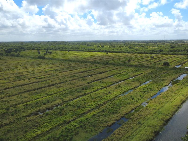 Sterling of Vero Beach, South : Vero Beach : Indian River County : Florida