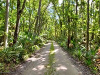 Wildlife Management Area : Weeki Wachee : Hernando County : Florida