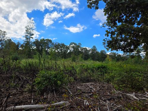 Pleasant Gap : Piedmont : Cherokee County : Alabama