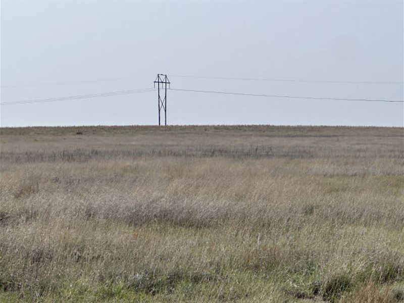Kiowa County Grassland : Haswell : Kiowa County : Colorado