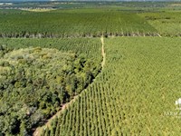 2,151 Ac Mega-Site Industrial Zonin : Campbellton : Jackson County : Florida