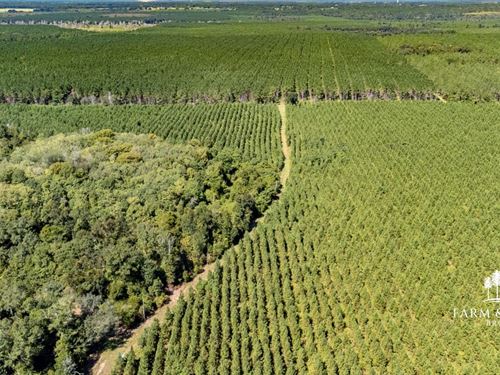 2,151 Ac Mega-Site Industrial Zonin : Campbellton : Jackson County : Florida