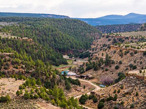 Cross Canyon Ranch : Cebolla : Rio Arriba County : New Mexico