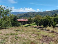 Golden Harvest Estate : La Suiza : Costa Rica