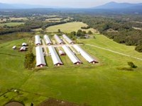 Arkansas Poultry Farm, 8 Mega Hses : Mansfield : Sebastian County : Arkansas