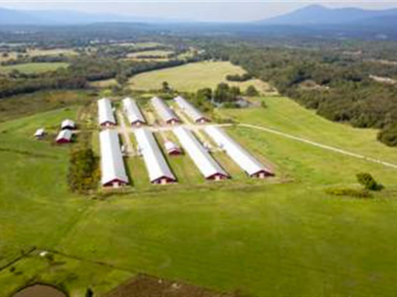 Arkansas Poultry Farm, 8 Mega Hses : Mansfield : Sebastian County : Arkansas
