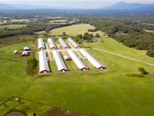 Arkansas Poultry Farm, 8 Mega Hses : Mansfield : Sebastian County : Arkansas