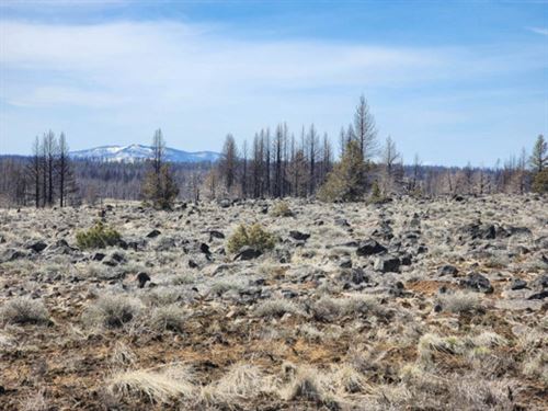 Your Off-Grid Kingdom Awaits : Bly : Klamath County : Oregon