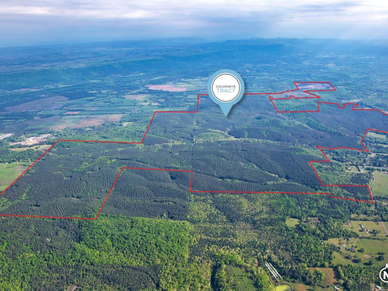 The Goldeneye Tract : Summerville : Chattooga County : Georgia