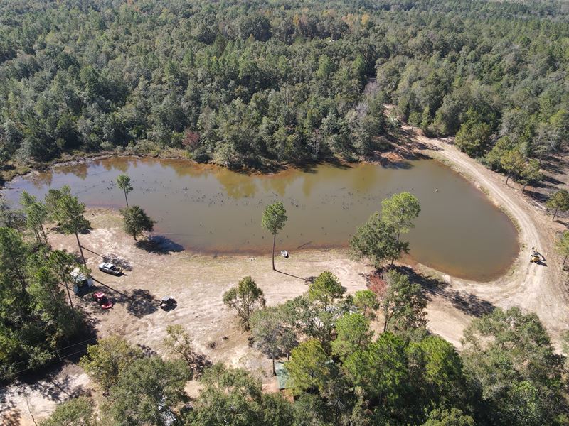 Boothtown Lakes Tract-595 Acres : Mobile : Mobile County : Alabama