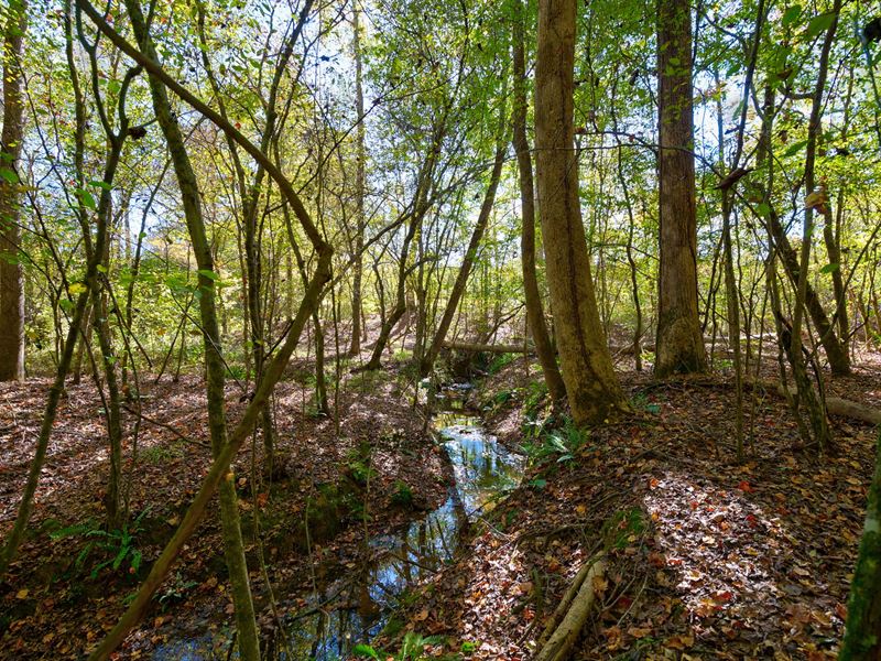 Bridges Road Tract 1 : Carlton : Oglethorpe County : Georgia