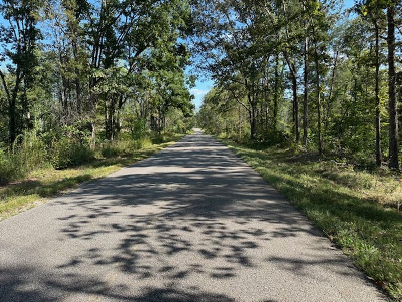 Firetower Road East : Camden : Benton County : Tennessee