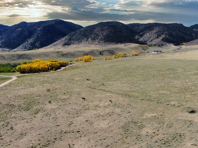 Wild Mustang Meadow : Laramie : Albany County : Wyoming