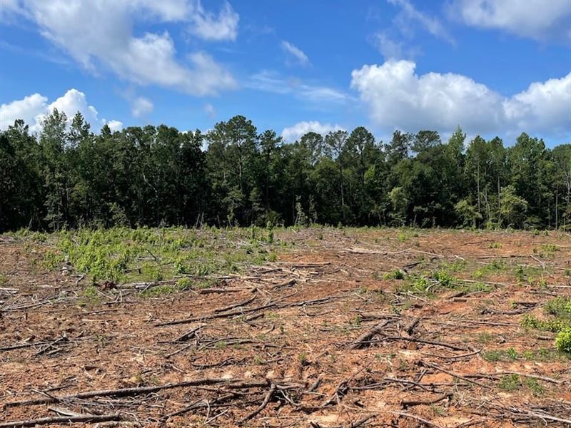 Allen Rd, 8 Point Rd 10 Ac Taylor : Butler : Taylor County : Georgia