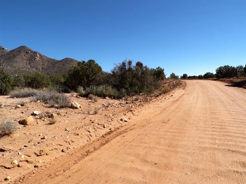 Your Own 5 Acre Wooded Sanctuary : Kingman : Mohave County : Arizona