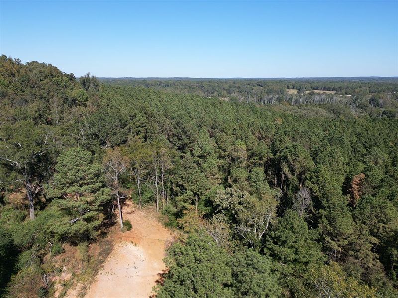 35 Acres Pickens County, AL : Gordo : Pickens County : Alabama