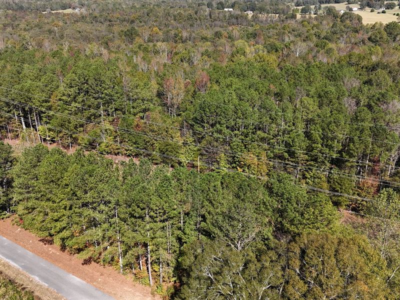 9 Acre Rural Homesite Sand Rock : Sand Rock : Cherokee County : Alabama