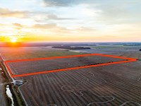 Pine Tree 80 : Hunter : Saint Francis County : Arkansas