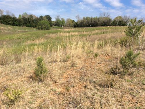Lot 4 Posey Road, 4.64 Acres : Honoraville : Crenshaw County : Alabama