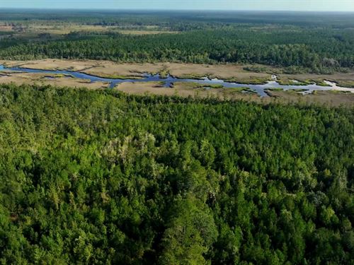 Salt Marsh Riverfront Property : Brunswick : Glynn County : Georgia