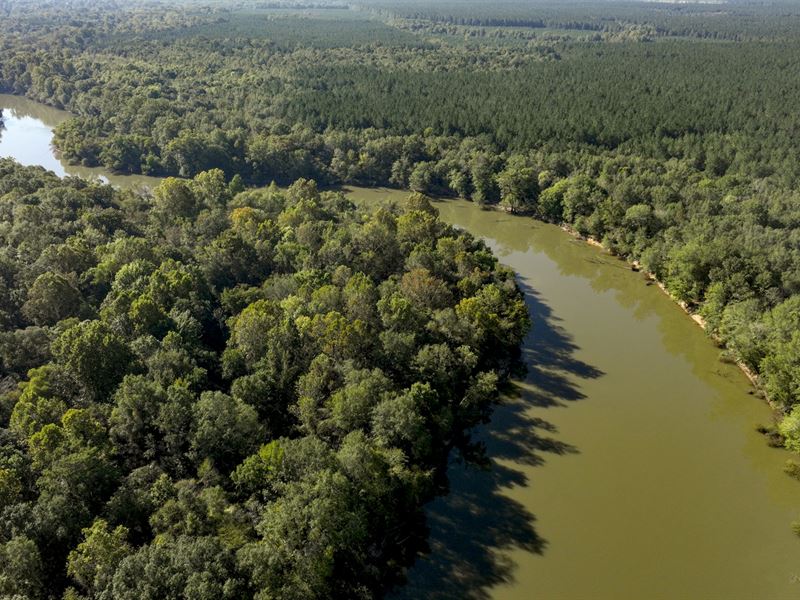 Dodge County River Property : Rhine : Dodge County : Georgia
