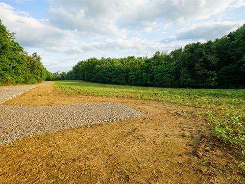 Twp Rd 51 Lot 4 14.096 : Somerset : Perry County : Ohio