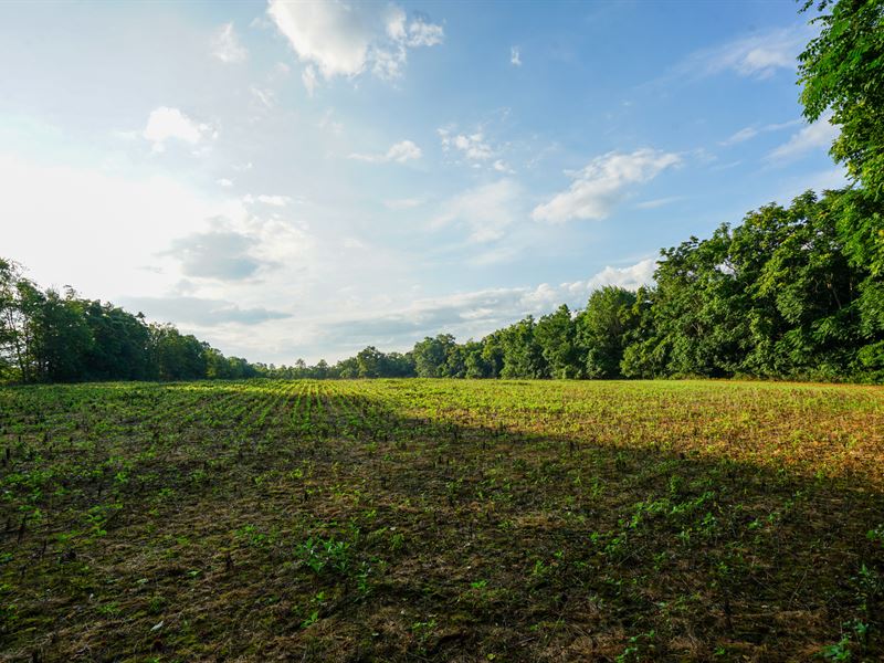 Twp Rd 51 Lot 6 17.136 : Somerset : Perry County : Ohio