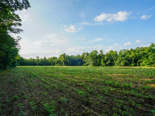 Twp Rd 51 Lot 7 14.336 : Somerset : Perry County : Ohio