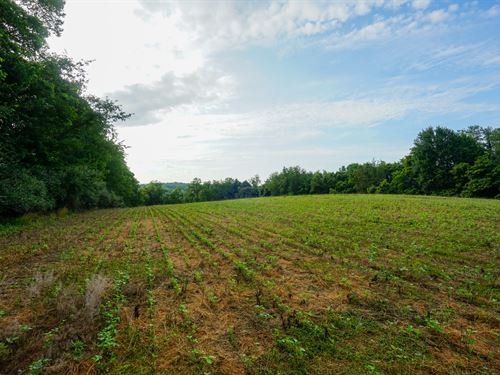 Twp Rd 51 Lot 8 10.887 : Somerset : Perry County : Ohio