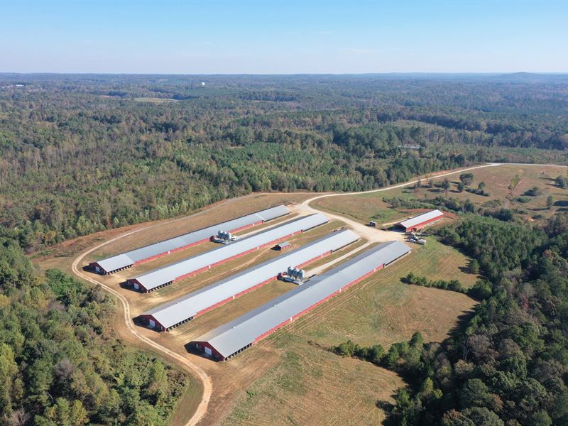 Faith Thru Grace Farm : Tallapoosa : Haralson County : Georgia