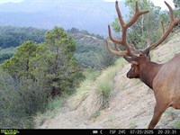 Secluded Colorado Hunting Retreat : Grand Junction : Mesa County : Colorado