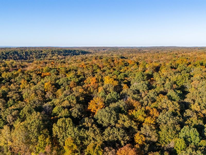 Antioch Rd 40 : Cord : Independence County : Arkansas