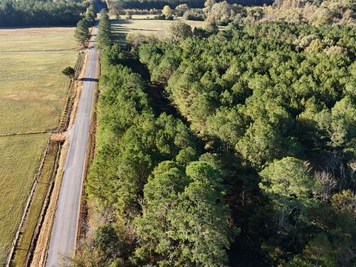 Ball Play Creek Lot 9 : Ballplay : Cherokee County : Alabama