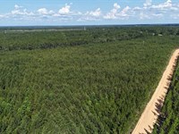 7.2+/- Acres on Penny Morris Road : Baxley : Appling County : Georgia