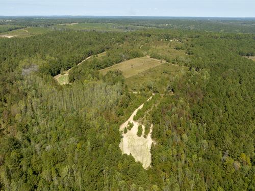 Poole Road Farm : Ellaville : Schley County : Georgia