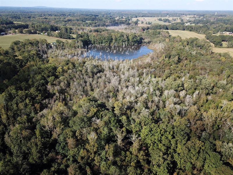 Buffalo Creek A Duck Hunter's Dream : Carrollton : Carroll County : Georgia