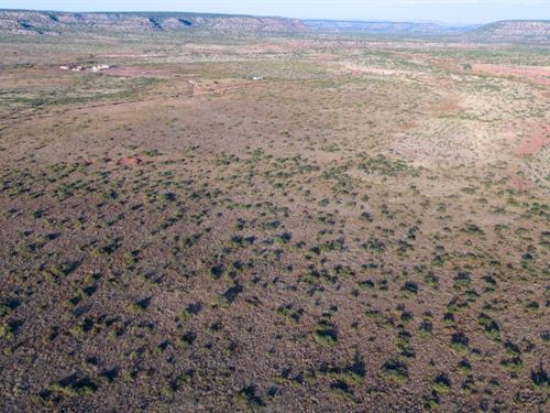 Disconnect to Reconnect : Garita : San Miguel County : New Mexico