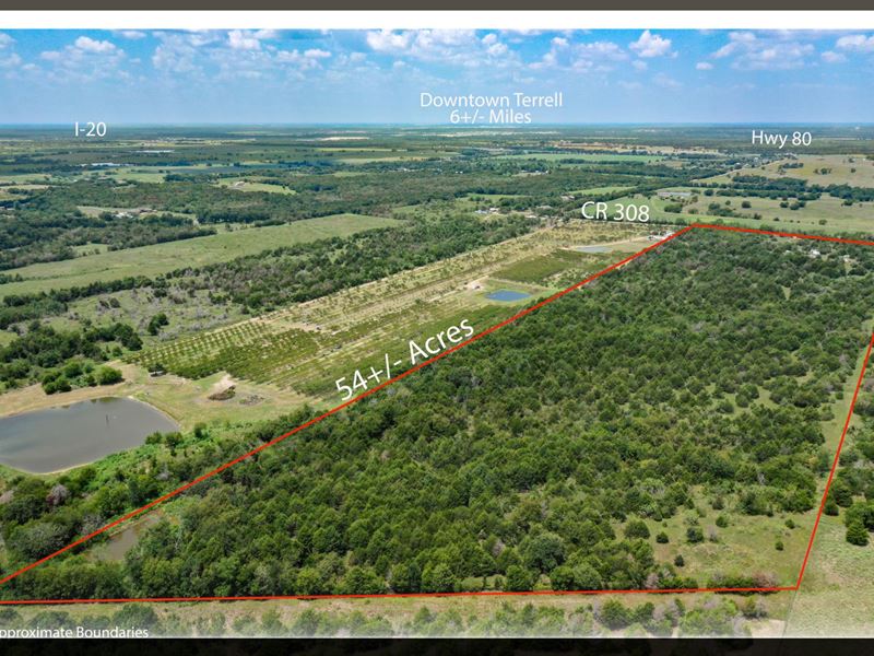 Lovely Acreage 30M East Of Dallas : Terrell : Kaufman County : Texas