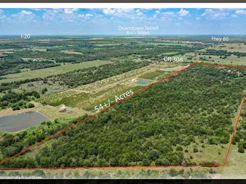 Lovely Acreage 30M East Of Dallas : Terrell : Kaufman County : Texas