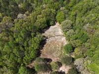 8.25 Acres With a Home in Hardeman : Toone : Hardeman County : Tennessee