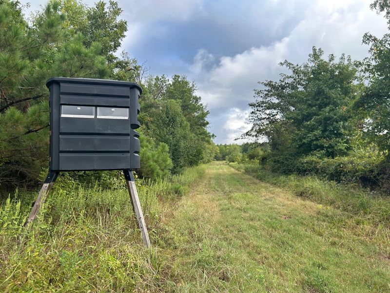 227 Acres in Quitman County, MS : Marks : Quitman County : Mississippi